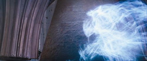 Click to view full size image
==============
OdF-Potterish_5957.jpg OdF-Potterish_5957.jpg
