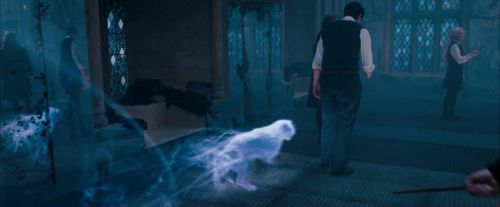 OdF-Potterish_5982.jpg
