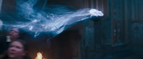 OdF-Potterish_5994.jpg