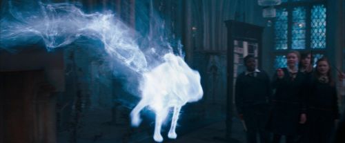 OdF-Potterish_5995.jpg
