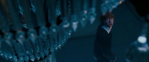 Click to view full size image
==============
OdF-Potterish_6002.jpg OdF-Potterish_6002.jpg