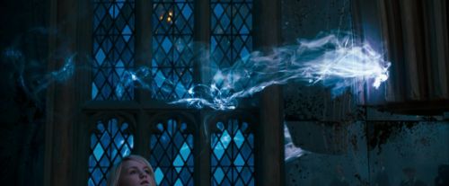 Click to view full size image
==============
OdF-Potterish_6006.jpg OdF-Potterish_6006.jpg