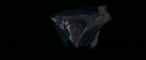 OdF-Potterish_6038.jpg