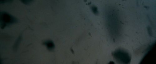 OdF-Potterish_6048.jpg