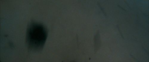 OdF-Potterish_6049.jpg