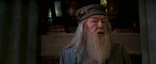 OdF-Potterish_6147.jpg