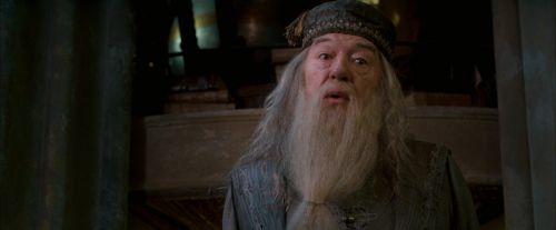Click to view full size image
==============
OdF-Potterish_6153.jpg OdF-Potterish_6153.jpg