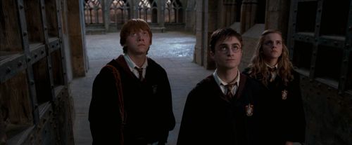 OdF-Potterish_6191.jpg