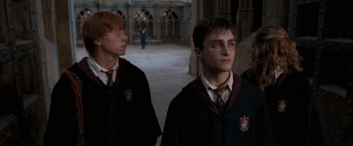Click to view full size image
==============
OdF-Potterish_6204.jpg OdF-Potterish_6204.jpg