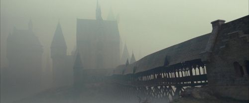 Click to view full size image
==============
OdF-Potterish_6340.jpg OdF-Potterish_6340.jpg