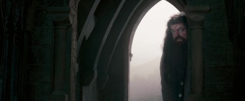 OdF-Potterish_6383.jpg