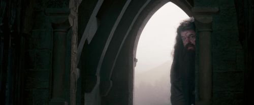 OdF-Potterish_6385.jpg