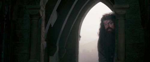 Click to view full size image
==============
OdF-Potterish_6386.jpg OdF-Potterish_6386.jpg