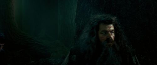 OdF-Potterish_6390.jpg