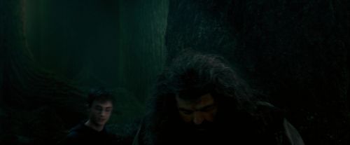 OdF-Potterish_6391.jpg