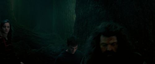 Click to view full size image
==============
OdF-Potterish_6392.jpg OdF-Potterish_6392.jpg