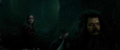 Click to view full size image
==============
OdF-Potterish_6393.jpg OdF-Potterish_6393.jpg