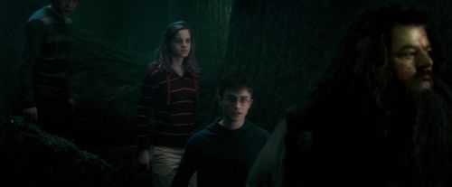 OdF-Potterish_6394.jpg