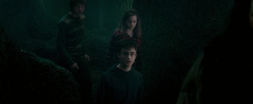 OdF-Potterish_6395.jpg