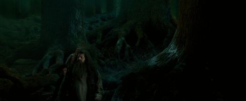Click to view full size image
==============
OdF-Potterish_6402.jpg OdF-Potterish_6402.jpg