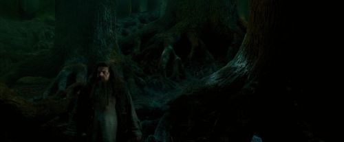 Click to view full size image
==============
OdF-Potterish_6403.jpg OdF-Potterish_6403.jpg
