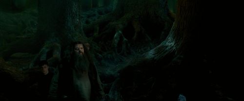 Click to view full size image
==============
OdF-Potterish_6404.jpg OdF-Potterish_6404.jpg