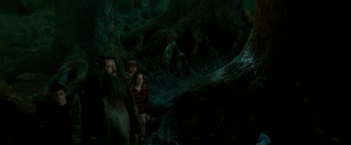 OdF-Potterish_6405.jpg