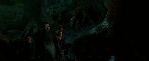 OdF-Potterish_6406.jpg