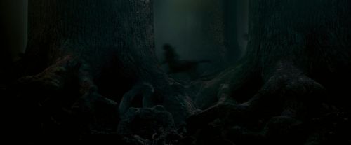 Click to view full size image
==============
OdF-Potterish_6411.jpg OdF-Potterish_6411.jpg