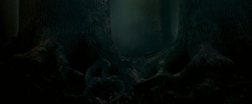 OdF-Potterish_6413.jpg