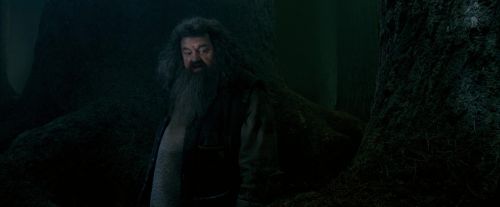OdF-Potterish_6414.jpg