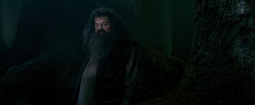 Click to view full size image
==============
OdF-Potterish_6415.jpg OdF-Potterish_6415.jpg