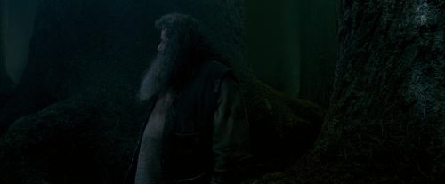 OdF-Potterish_6416.jpg