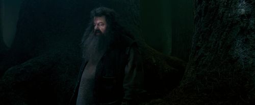 Click to view full size image
==============
OdF-Potterish_6417.jpg OdF-Potterish_6417.jpg