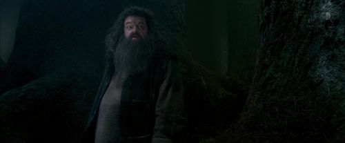 OdF-Potterish_6421.jpg