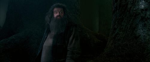 Click to view full size image
==============
OdF-Potterish_6422.jpg OdF-Potterish_6422.jpg