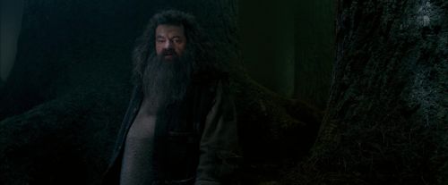 Click to view full size image
==============
OdF-Potterish_6423.jpg OdF-Potterish_6423.jpg