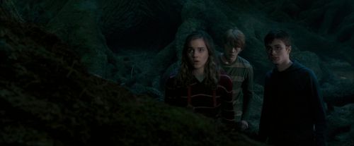 Click to view full size image
==============
OdF-Potterish_6425.jpg OdF-Potterish_6425.jpg