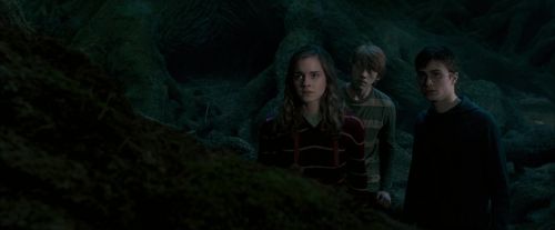 OdF-Potterish_6427.jpg