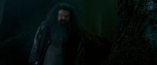 OdF-Potterish_6428.jpg