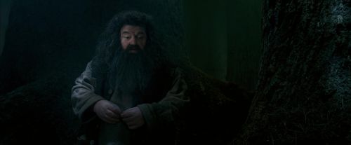OdF-Potterish_6430.jpg