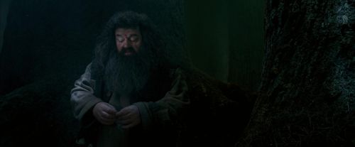OdF-Potterish_6432.jpg