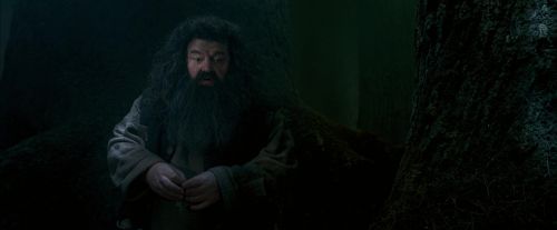 OdF-Potterish_6433.jpg