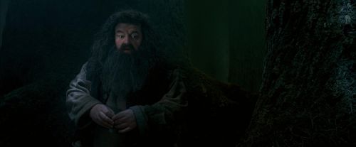 OdF-Potterish_6434.jpg