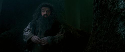 OdF-Potterish_6435.jpg