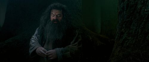 Click to view full size image
==============
OdF-Potterish_6441.jpg OdF-Potterish_6441.jpg