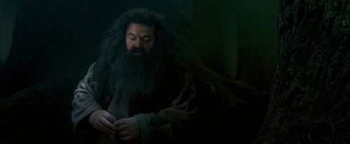 OdF-Potterish_6442.jpg