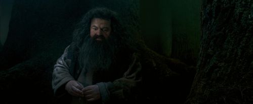 OdF-Potterish_6443.jpg