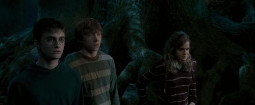 OdF-Potterish_6444.jpg