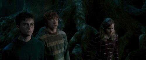 OdF-Potterish_6445.jpg